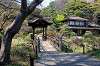 sankeien_1032_mini.jpg