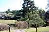 sankeien_1053_mini.jpg