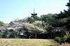 sankeien_1054_mini.jpg