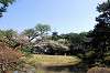 sankeien_1061_mini.jpg