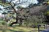 sankeien_1067_mini.jpg
