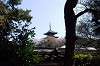 sankeien_1115_mini.jpg