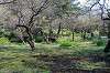 sankeien_1153_mini.jpg