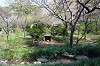 sankeien_1163_mini.jpg