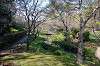 sankeien_1167_mini.jpg