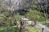 sankeien_1170_mini.jpg