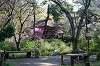 sankeien_1174_mini.jpg