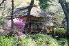 sankeien_1175_mini.jpg