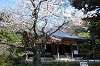sankeien_1192_mini.jpg