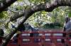 sankeien_1207_mini.jpg