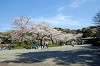 sankeien_1208_mini.jpg