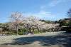 sankeien_1209_mini.jpg