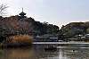 sankeien_1275_mini.jpg