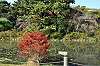 sankeien_1304_mini.jpg