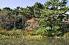 sankeien_1306_mini.jpg