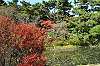 sankeien_1309_mini.jpg