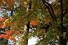 sankeien_1313_mini.jpg
