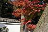 sankeien_1316_mini.jpg