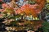 sankeien_1318_mini.jpg