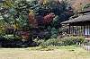 sankeien_1325_mini.jpg