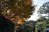 sankeien_1328_mini.jpg