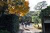 sankeien_1329_mini.jpg