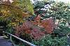 sankeien_1338_mini.jpg