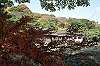 sankeien_1340_mini.jpg