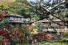 sankeien_1347_mini.jpg