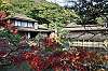 sankeien_1349_mini.jpg