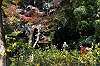 sankeien_1357_mini.jpg