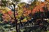 sankeien_1360_mini.jpg