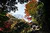 sankeien_1363_mini.jpg
