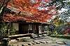 sankeien_1369_mini.jpg