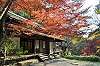 sankeien_1372_mini.jpg