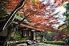 sankeien_1373_mini.jpg