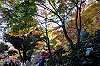 sankeien_1380_mini.jpg