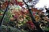 sankeien_1391_mini.jpg