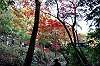 sankeien_1393_mini.jpg