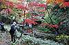 sankeien_1400_mini.jpg