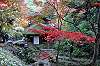 sankeien_1401_mini.jpg