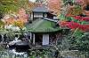 sankeien_1403_mini.jpg