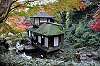 sankeien_1405_mini.jpg