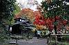 sankeien_1411_mini.jpg