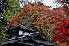 sankeien_1412_mini.jpg