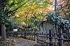 sankeien_1413_mini.jpg