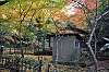 sankeien_1414_mini.jpg