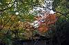 sankeien_1415_mini.jpg