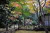 sankeien_1417_mini.jpg