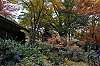 sankeien_1419_mini.jpg